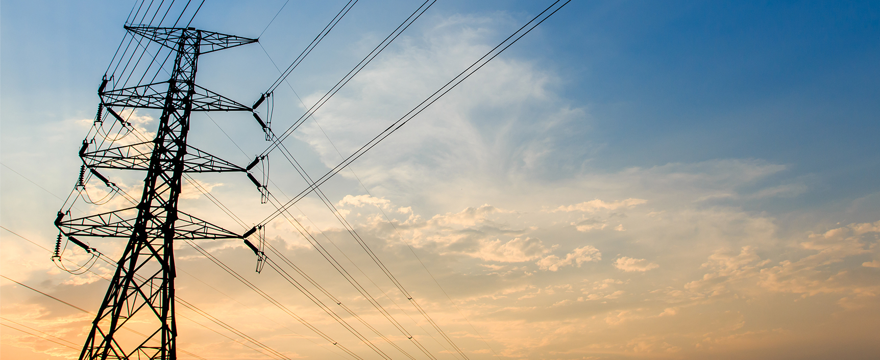 Wuxi Xinyu Cable Co., Ltd.