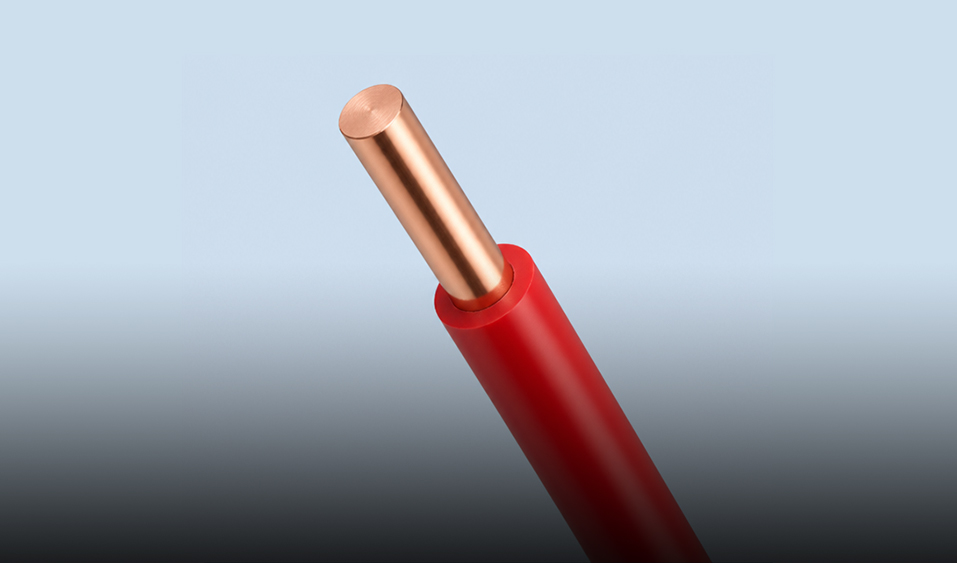Wuxi Xinyu Cable Co., Ltd.